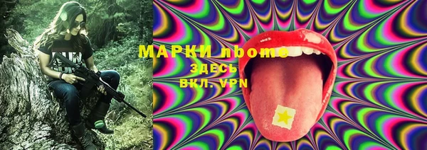 стафф Протвино