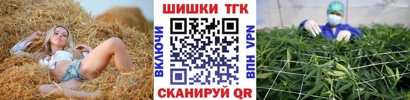 закладка  Сосновка  Канабис тримм 